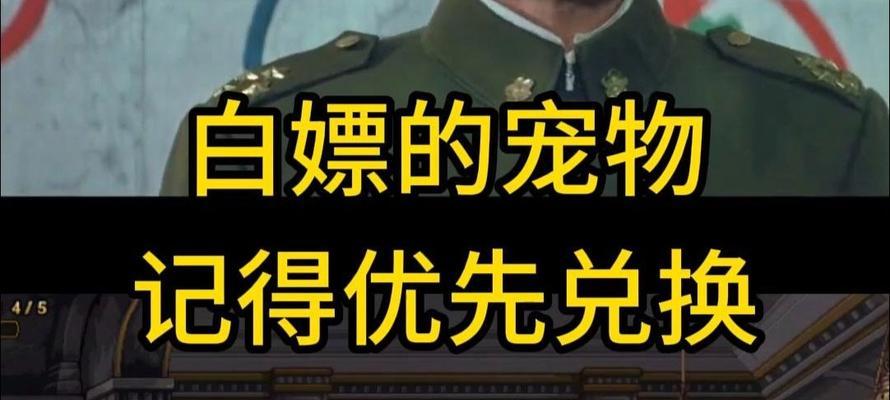 白嫖DNF宠物，快速提升游戏战力的小技巧（2024年DNF最新宠物系统）  第2张