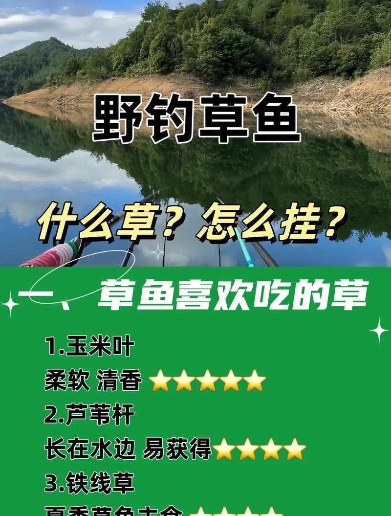 水草丛中,如何钓到好鱼(掌握技巧) 第1张 水草丛中,如何钓到好鱼(掌握技巧) 第1张