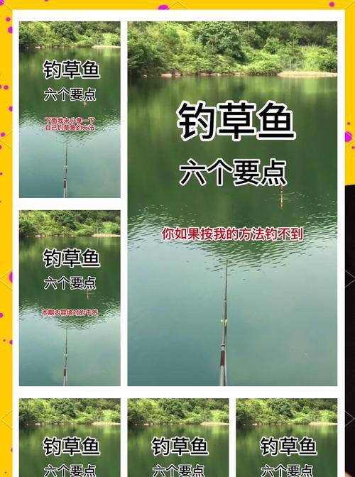 水草丛中,如何钓到好鱼(掌握技巧) 第2张 水草丛中,如何钓到好鱼(掌握技巧) 第2张