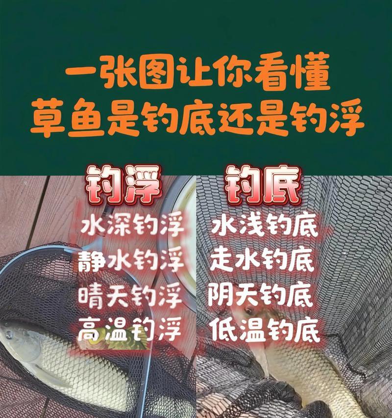 水草丛中,如何钓到好鱼(掌握技巧) 第3张 水草丛中,如何钓到好鱼(掌握技巧) 第3张